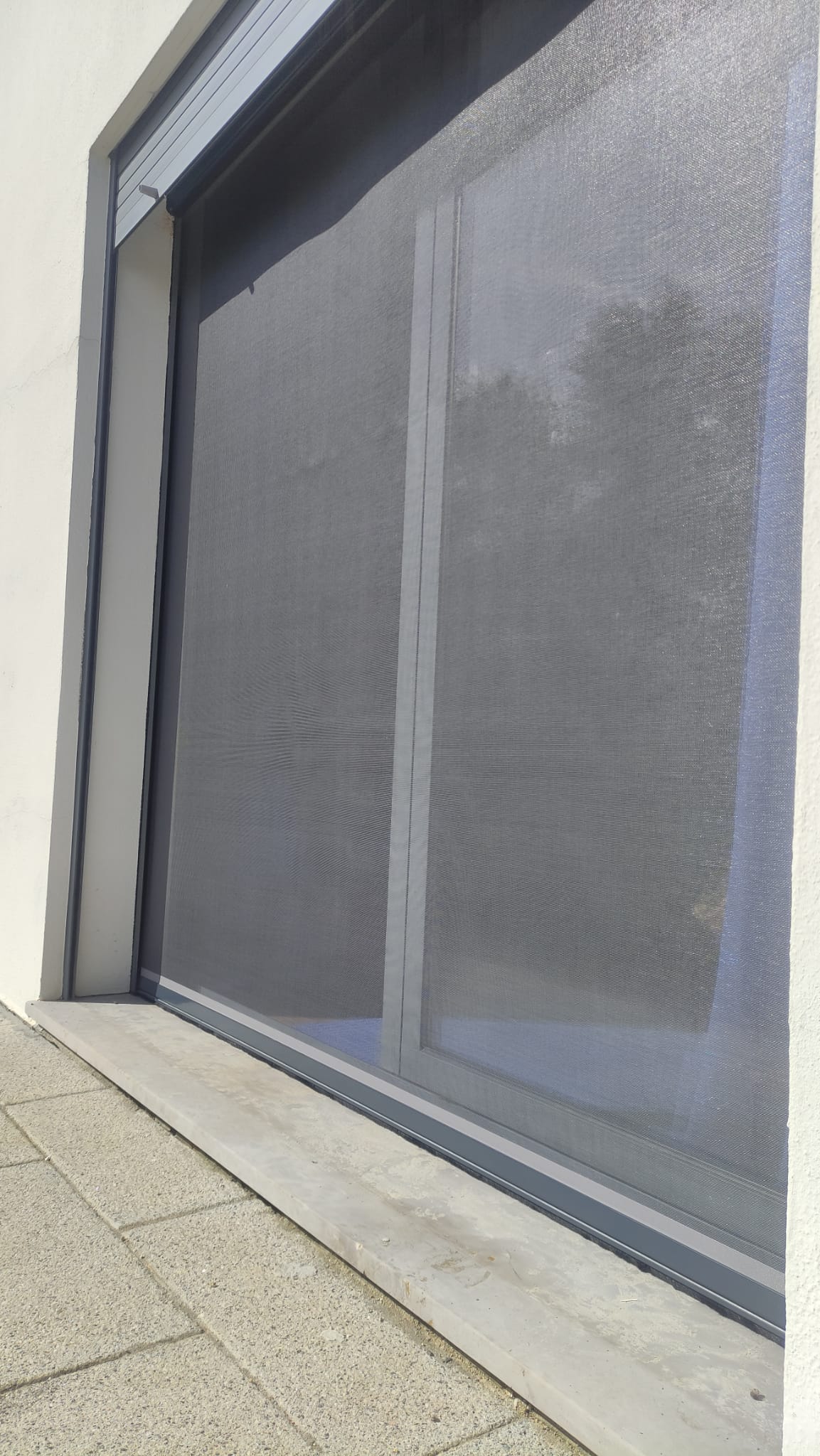 Mosquiteira de Enrolar